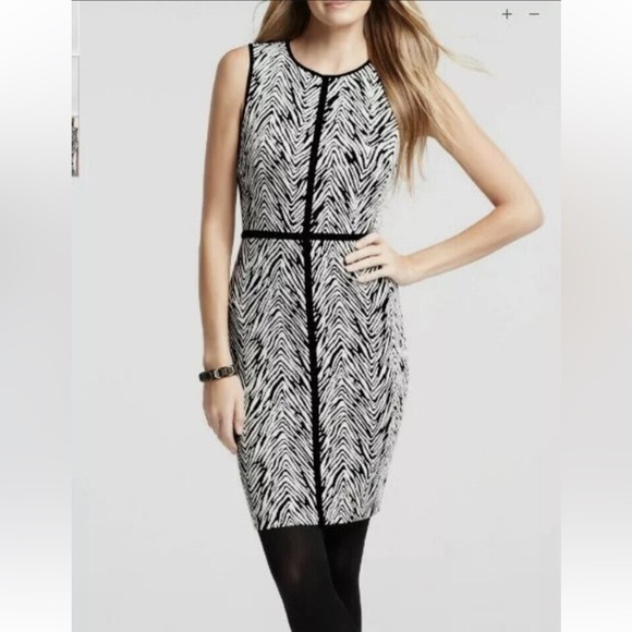 Ann Taylor Factory Zebra Print Sheath Dress Formal Animal Print Party 10 Petite - Picture 1 of 11